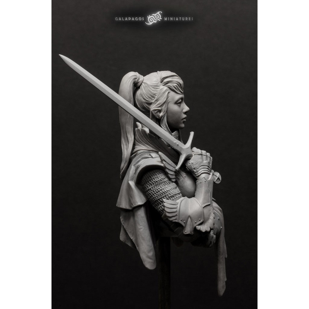 [ORIGINAL][Ready-stock] 1/10 scale bust - Alai 'The Templar's Atonement - by Galapagos