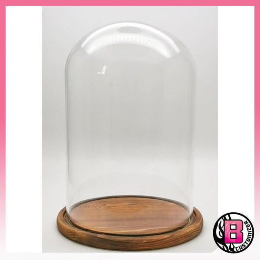 Glass cloche dome cover display with wooden base